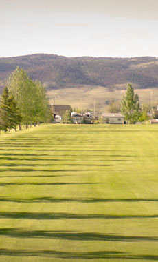 Golfing in Montana and Yellowstone National Park