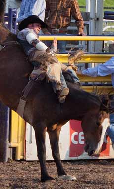 Rodeos in Montana and Yellowstone National Park